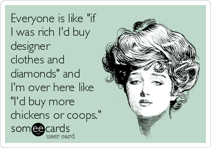 Everyone is like "if
I was rich I'd buy
designer
clothes and
diamonds" and
I'm over here like
"I'd buy more
chickens or coops."