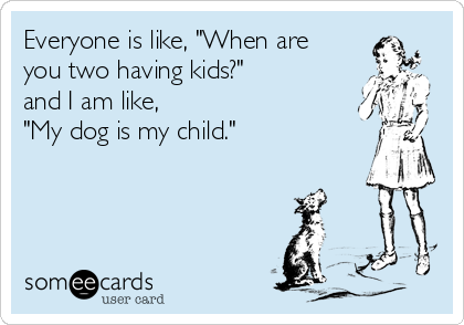 Everyone is like, "When are
you two having kids?"
and I am like,
"My dog is my child."