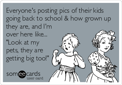 Everyone's posting pics of their kids
going back to school & how grown up
they are, and I'm
over here like...
"Look at my
pets, they are
getting big too!"