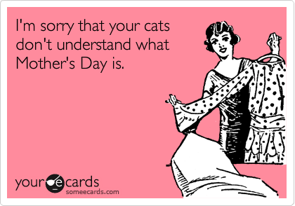 I'm sorry that your cats
don't understand what
Mother's Day is.