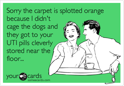 Sorry the carpet is splotted orange because I didn't
cage the dogs and
they got to your
UTI pills cleverly
stored near the
floor...