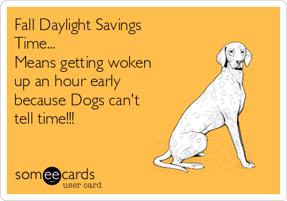 Fall Daylight Savings
Time...
Means getting woken
up an hour early 
because Dogs can't
tell time!!! 