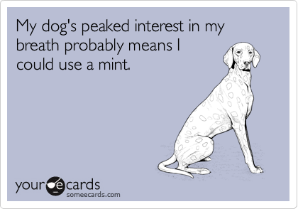 My dog's peaked interest in my breath probably means I
could use a mint.