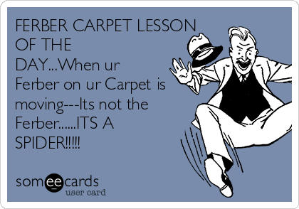 FERBER CARPET LESSON
OF THE
DAY...When ur
Ferber on ur Carpet is
moving---Its not the
Ferber......ITS A
SPIDER!!!!!