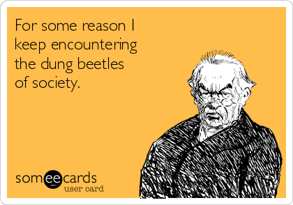 For some reason I 
keep encountering 
the dung beetles 
of society. 