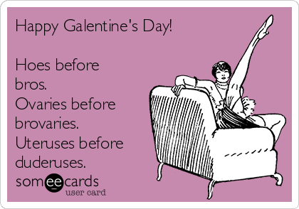 Happy Galentine's Day!

Hoes before
bros.
Ovaries before
brovaries.
Uteruses before
duderuses.