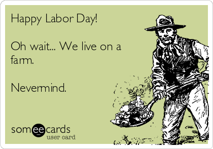 Happy Labor Day!

Oh wait... We live on a
farm. 

Nevermind.