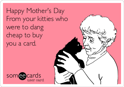 Happy Mother's Day
From your kitties who
were to dang
cheap to buy
you a card. 