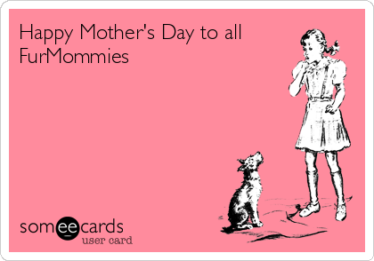 Happy Mother's Day to all
FurMommies