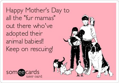 Happy Mother's Day to
all the "fur mamas"
out there who've
adopted their
animal babies!!
Keep on rescuing!
