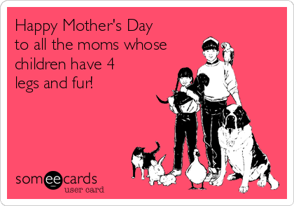 Happy Mother's Day 
to all the moms whose
children have 4
legs and fur!