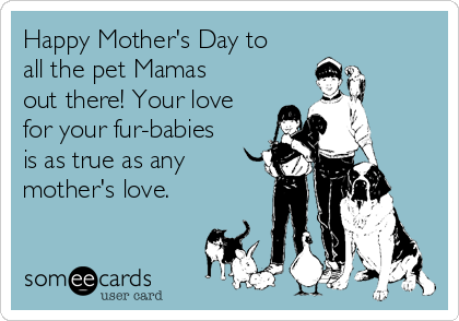 Happy Mother's Day to
all the pet Mamas
out there! Your love
for your fur-babies
is as true as any
mother's love.