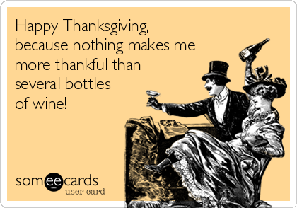 Happy Thanksgiving,
because nothing makes me
more thankful than
several bottles
of wine! 