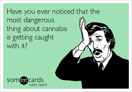 Have you ever noticed that the
most dangerous
thing about cannabis
is getting caught
with it?