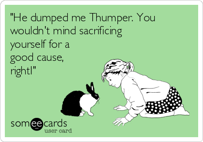 "He dumped me Thumper. You
wouldn't mind sacrificing
yourself for a
good cause,
rightI"