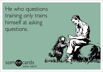 He who questions
training only trains
himself at asking
questions.