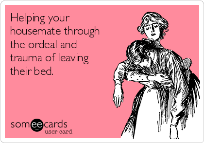 Helping your
housemate through
the ordeal and
trauma of leaving
their bed.