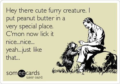 Hey there cute furry creature. I
put peanut butter in a
very special place.
C'mon now lick it
nice...nice...
yeah...just like
that...