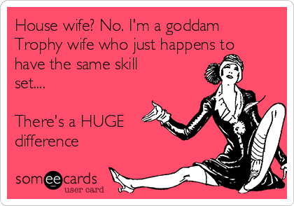 House wife? No. I'm a goddam 
Trophy wife who just happens to
have the same skill
set.... 

There's a HUGE
difference