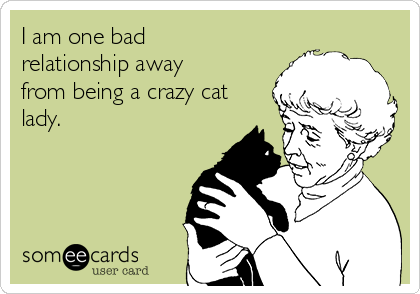 I am one bad
relationship away
from being a crazy cat
lady.