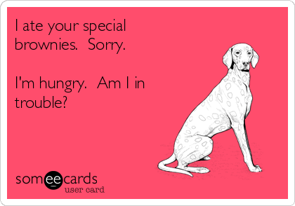 I ate your special
brownies.  Sorry.

I'm hungry.  Am I in
trouble?   