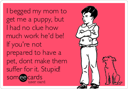 I begged my mom to
get me a puppy, but
I had no clue how
much work he'd be! 
If you're not
prepared to have a
pet, dont make them
suffer for it. Stupid!