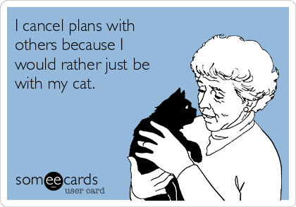 I cancel plans with
others because I
would rather just be
with my cat.