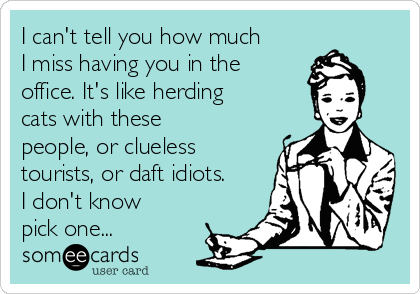 I can't tell you how much
I miss having you in the
office. It's like herding
cats with these
people, or clueless
tourists, or daft idiots.
I don't know
pick one...