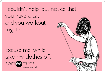 I couldn't help, but notice that
you have a cat
and you workout
together... 


Excuse me, while I
take my clothes off. 