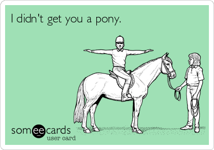 I didn't get you a pony.   