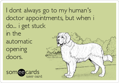 I dont always go to my human's
doctor appointments, but when i
do... i get stuck
in the
automatic
opening
doors.