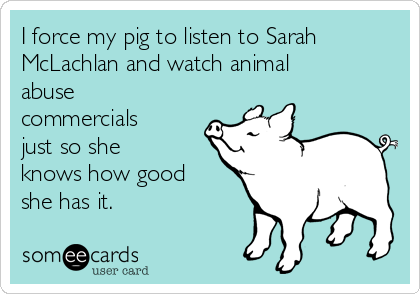 I force my pig to listen to Sarah
McLachlan and watch animal
abuse
commercials
just so she
knows how good
she has it. 