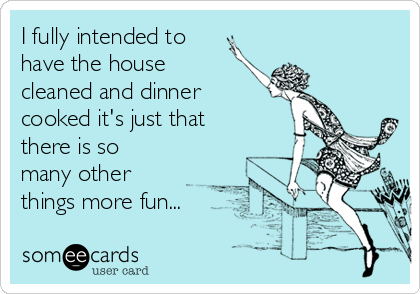 I fully intended to
have the house
cleaned and dinner
cooked it's just that
there is so
many other
things more fun...