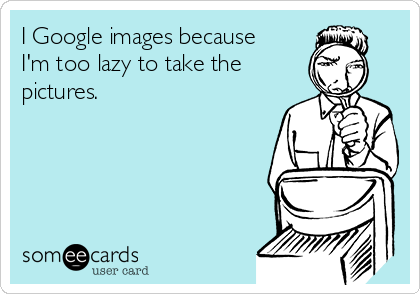 I Google images because
I'm too lazy to take the
pictures.