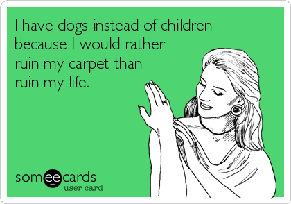 I have dogs instead of children
because I would rather
ruin my carpet than
ruin my life.