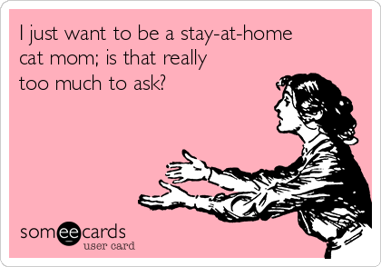 I just want to be a stay-at-home
cat mom; is that really
too much to ask?