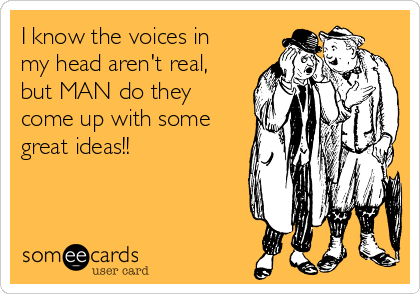 I know the voices in
my head aren't real,
but MAN do they
come up with some
great ideas!!