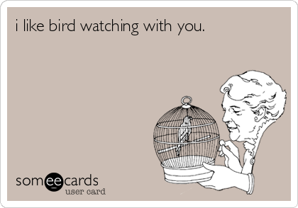 i like bird watching with you.