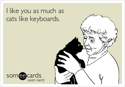 I like you as much as
cats like keyboards.