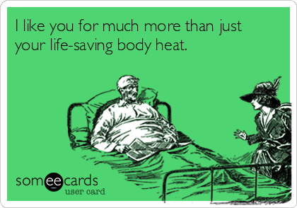 I like you for much more than just
your life-saving body heat. 