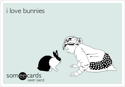 i love bunnies
