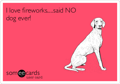 I love fireworks.....said NO
dog ever!