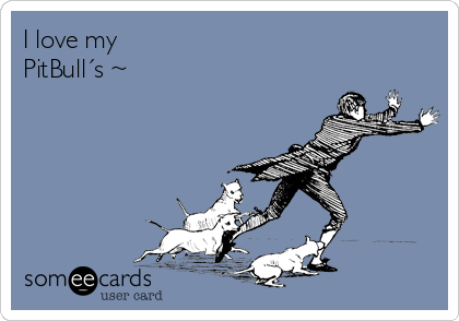 I love my 
PitBull´s ~