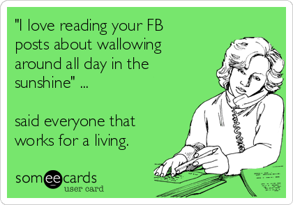 "I love reading your FB
posts about wallowing
around all day in the
sunshine" ...

said everyone that
works for a living.