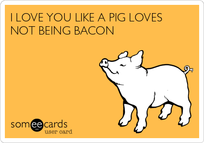 I LOVE YOU LIKE A PIG LOVES
NOT BEING BACON