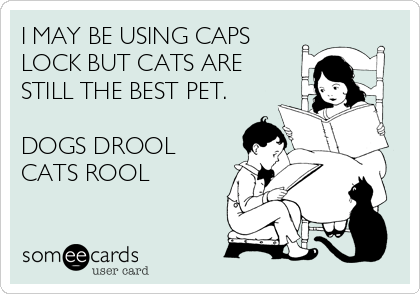 I MAY BE USING CAPS
LOCK BUT CATS ARE
STILL THE BEST PET.

DOGS DROOL
CATS ROOL