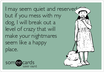 I may seem quiet and reserved,
but if you mess with my
dog, I will break out a
level of crazy that will
make your nightmares
seem like a happy
place.
