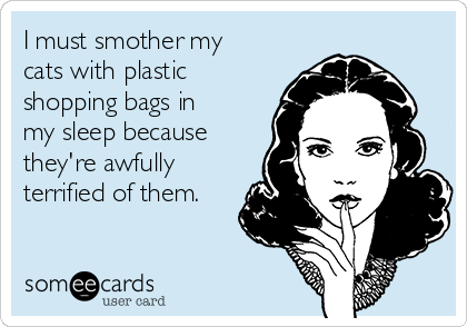 I must smother my
cats with plastic
shopping bags in
my sleep because
they're awfully
terrified of them.