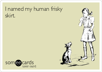 I named my human frisky
skirt.