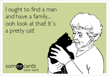 I ought to find a man
and have a family...
ooh look at that! It`s
a pretty cat!